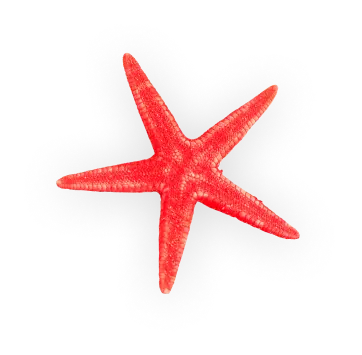 Starfish